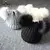 Maravilhoso pompom de bebê para inverno