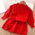 Conjunto de roupas para meninas /Conjunto de suéter de manga comprida de 2 peças de 0-6 anos - Loja Little Dear