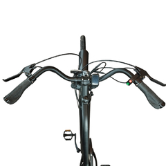 Bicicleta Electrica Rodado 26 Okologi Negra - comprar online