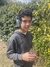 Auricular ONLY PLUS Bluetooth y por cable en internet