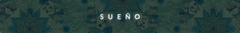 Banner de la categoría Sueño