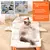 Cochonete Pet Fofinho para Cachorro ou Gato - Pet Zoom Online | Tudo para o Bem Estar do Seu Filho(a) Pet