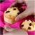 Forma De Silicone Para 6 Cupcakes 1 Unidade na internet