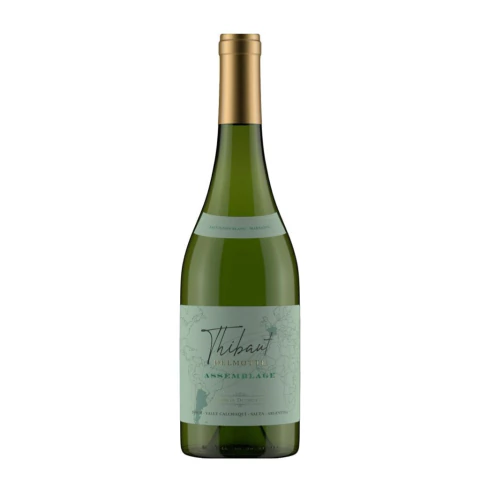 Thibaut Assemblage, Saugvignon Blanc 2023, Delmotte - comprar online