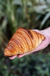 Croissants 1 docena (12 unidades de 120g c/u)
