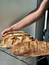 Pan de trigo integral (unidad de 1kg)
