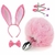 KIT COELHA PLUG TIARA GRAMPOS SEIOS GRAVATINHA SEXY IMPORT - comprar online