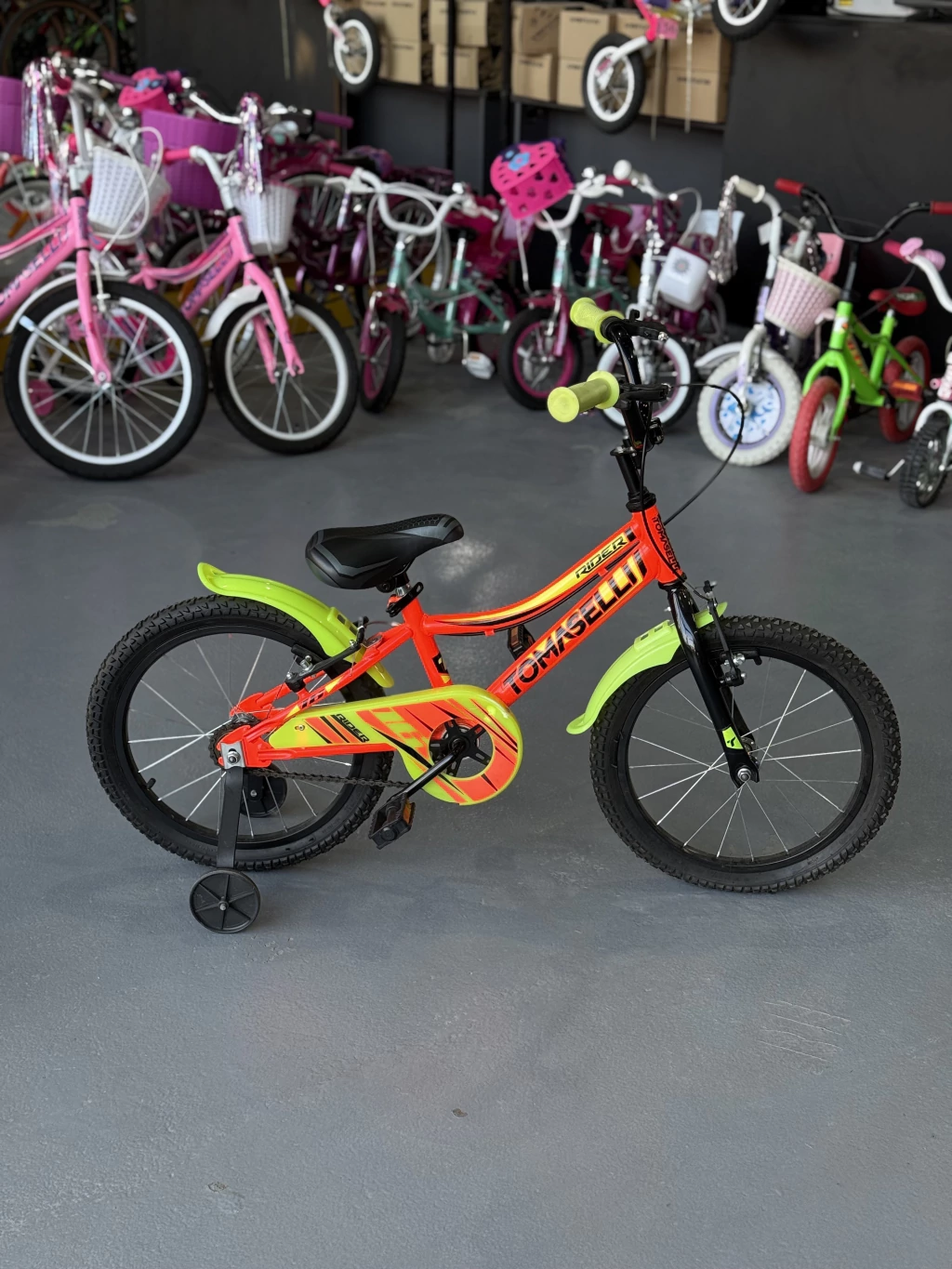 Tomaselli Rider - Rodado 16