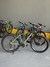 Topmega Sunshine 2025 - comprar online