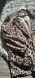 Blazer Print en internet