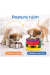 Comedouro Pet Com Ventosa Antiderrapante 3 Niveis De Altura - Jhoy Pet