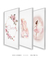 Trio Quadros Decorativos Bailarina - Bless Art