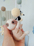Imagem do Mobile musical Fauna Brasileira - Suporte completo