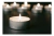 Chapitas Tacitas De Aluminio Para Velas Noche Masaje X 100 en internet
