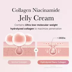 COLLAGEN JELLY CREAM en internet
