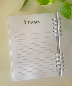Caderno do bebê menino