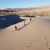 Circuito Dunas de Tatón y Saujil en internet