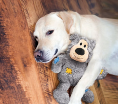 Pelúcia Urso KONG Wild Knots Bear - Pet eStar
