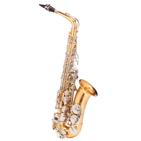 Saxofone Alto Michael Dual Gold WASM49