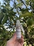 Home Spray 30 cc - comprar online