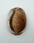 Sourdough 100% Integral na internet