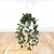 PLANTA 50CM CAÍDA - comprar online
