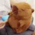 PELUCHE CAPIBARA CARPINCHO - Tupac Hogar