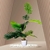 PLANTA PALMERA 80CM - comprar online