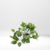 PLANTA POTHUS 22CM - comprar online