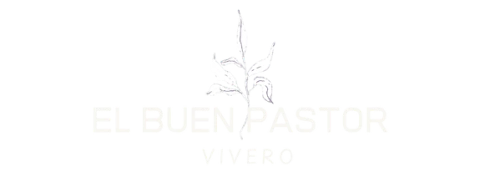 Vivero Buen Pastor