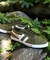 Imagen de Zapatillas Gola Classics Verdes
