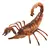 Escorpión - Wild pets en internet