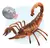 Escorpión - Wild pets - comprar online