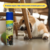 ACA NO AEROSOL 440ML - Kogato Pet Shop