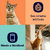 Imagem de dois gatos com destaque para características do Kit 03 Petisco Porta Remédio para Gatos MedSnack, como "Sem corantes artificiais" e "Macio e Moldável".
