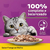 Imagem de um gato curioso em frente a um prato de ração de frango ao molho, com texto informativo sobre a nutrição balanceada.