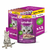 Kit com 12 sachês de ração Whiskas sabor frango para gatos adultos, com embalagem destacando o produto e um gato ao lado.