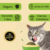 Abacate Catnip para Gatos - comprar online
