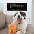 Um cachorro sorridente com um petisco MedSnack ao seu lado em um ambiente acolhedor.