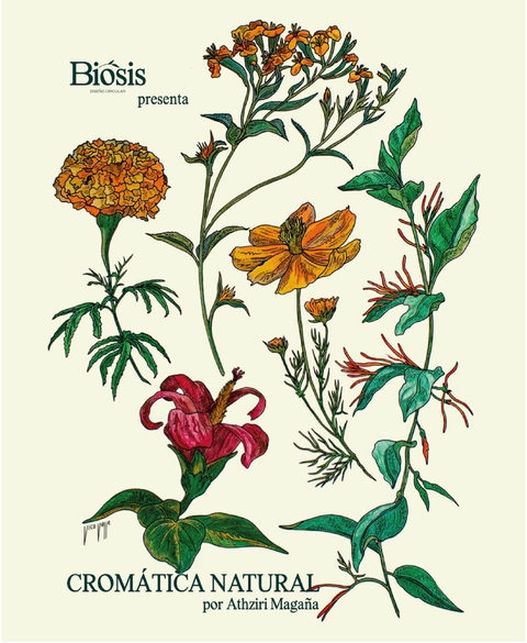 Carrusel 1