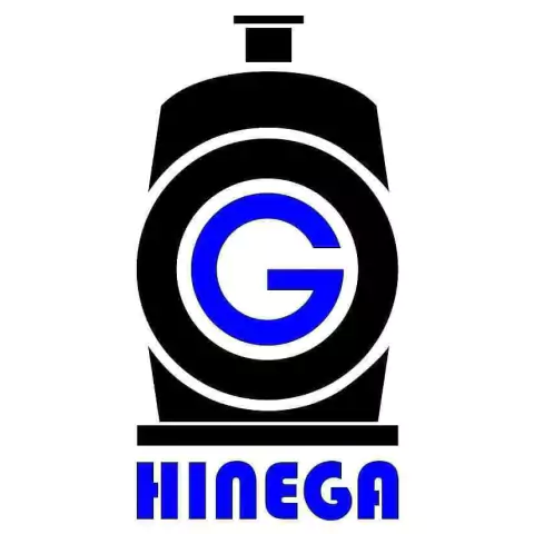 Grupo Hinega