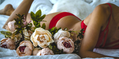Banner da categoria Íntima