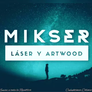 Mikser Personalizados