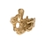 Anillo Paris en internet