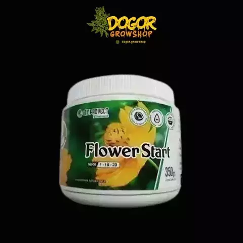 Bio Proyect - Flower Start en internet