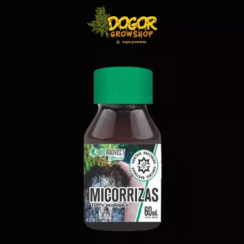 Bio Proyect - Micorrizas