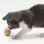 Bola para gato - Kiks Pet Store - Petshop Online