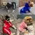 Blusa Adidog para cães na internet