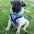 Peitoral para cães - comprar online