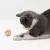 Bola para gato